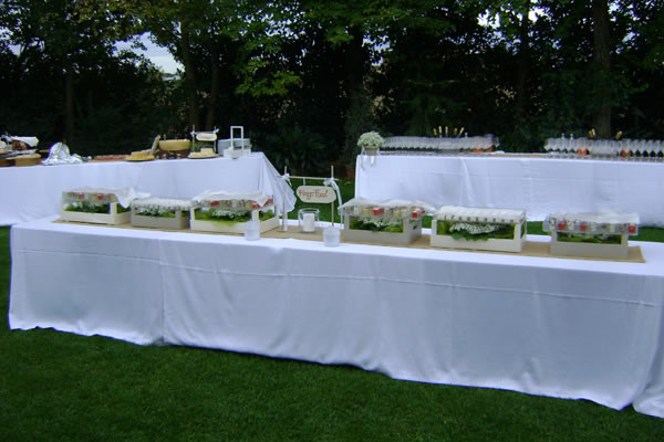 immagine gallery