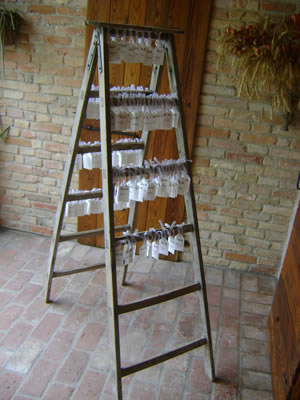 immagine gallery