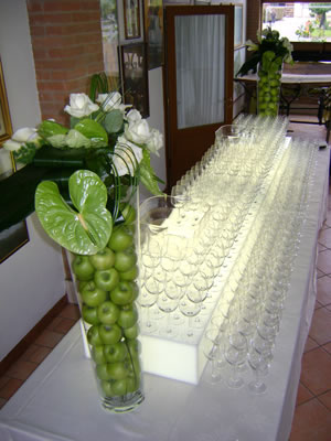 immagine gallery